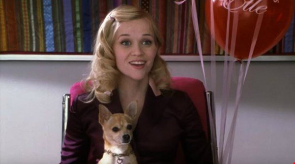 Legally Blonde fans can’t contain their excitement after Reese teases third film