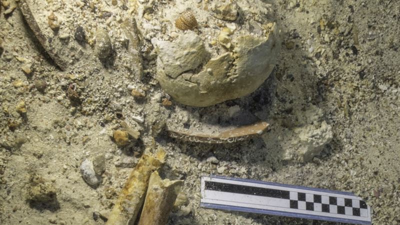 Bones from Shipwreck May Shed Light on Ancient Greeks’ Travel Habits