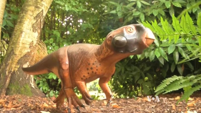 Scientists Create Realistic Dinosaur Model, Down to Its Colors