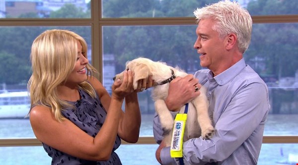 Holly Willoughby and Phillip Schofield return to This Morning and everyone is thrilled … AND they have a cute new puppy