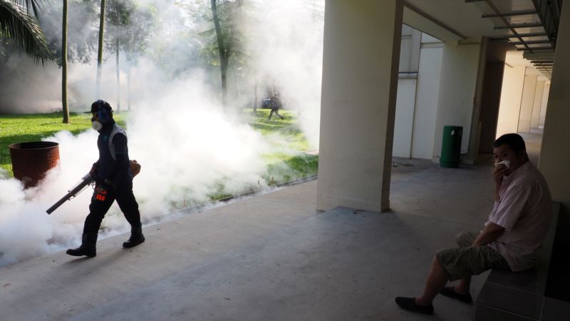 Singapore Confirms 27 More Locally Transmitted Zika Cases