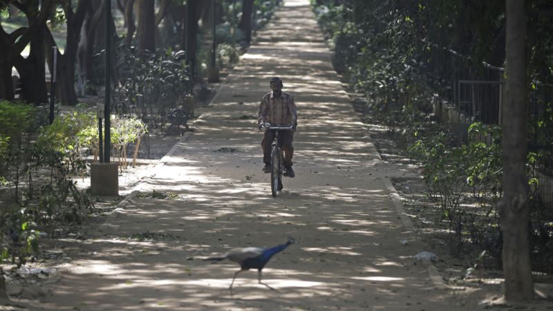 Park in Indian Capital Shut After Suspected Bird Flu Deaths