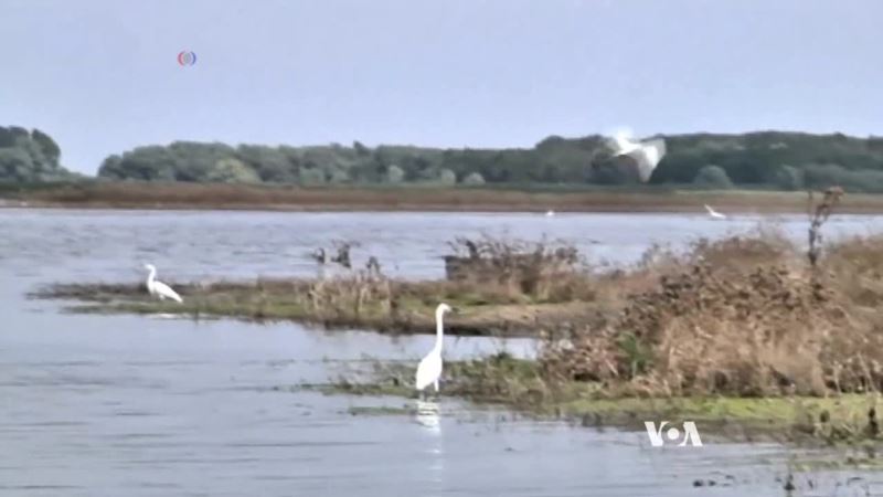 Wetlands and Wildlife Return to Scenic Romanian Delta