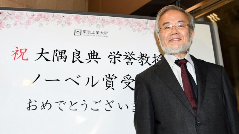 Japan’s Ohsumi Wins Nobel for Studies of Cell ‘Self-eating’