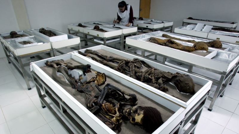 Chile Seeks Help to Protect World’s Oldest Mummies