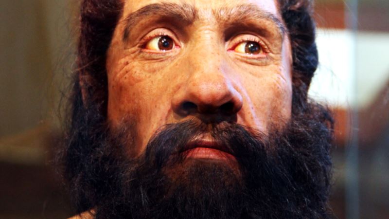 Neanderthals Disappearing from Modern Human Genome