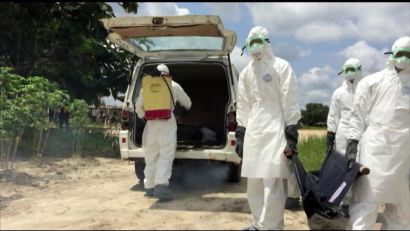 Rapid Testing is Crucial in Ebola Virus Detection and Management