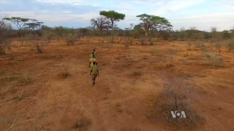 Tanzanian Tribe Turns to Carbon Offsets to Protect Ancestral Forests