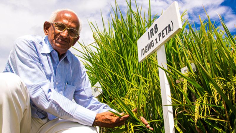 50th Anniversary Celebrated for Rice That Prevented Asia Famines