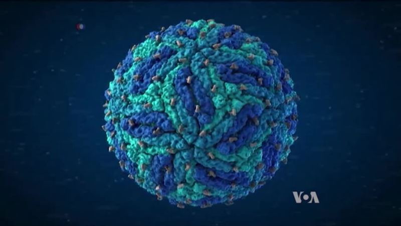 3-D Animation Brings Deadly Viruses to Virtual Life