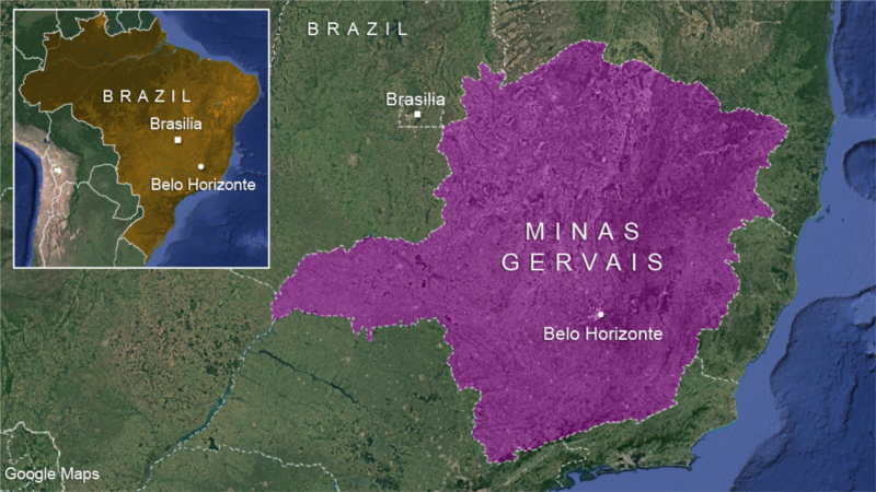 Outbreak of Yellow Fever Kills 40 in Brazil