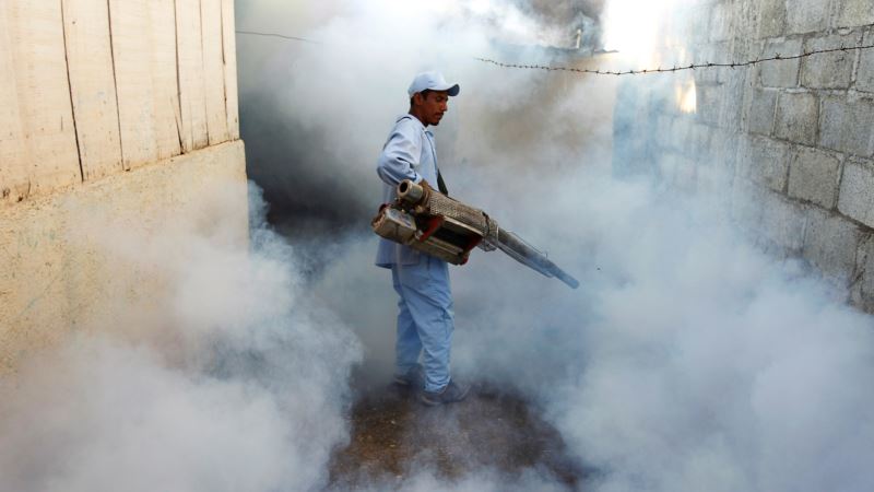 Scientists: Cause of Severe Form of Dengue Fever Found