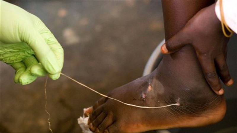 Mali Eradicates Guinea Worm