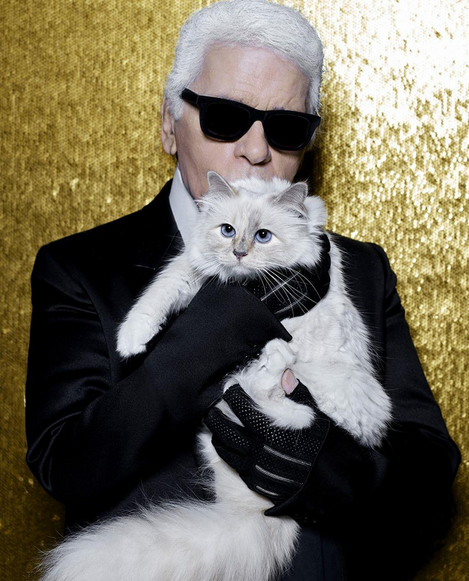 Being a Cat Lady Never Smelled Better, Thanks to Choupette Lagerfeld
