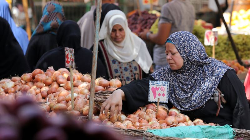 Egypt’s Agricultural Exports Ripe for World Markets After Currency Float