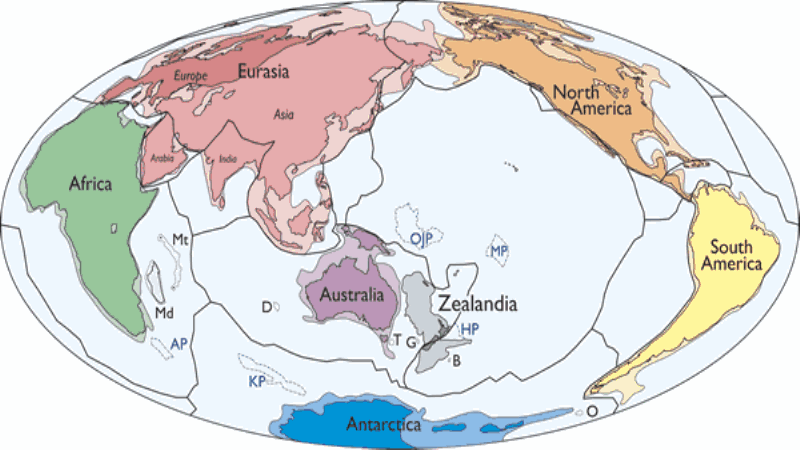 Researchers Argue for Eighth Continent: Zealandia