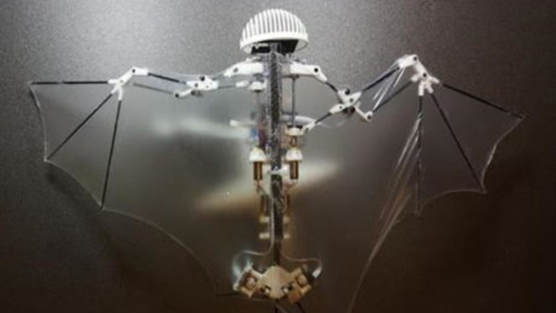 Researchers Develop a Better Drone: Bat Bot