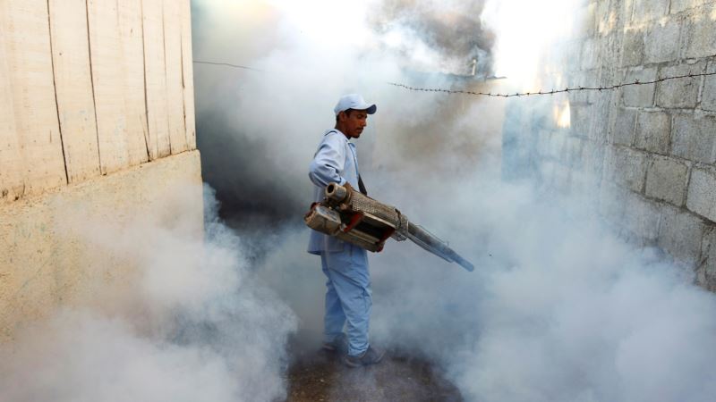 WHO: Zika Ebbing in Latin America but Vigilance Needed