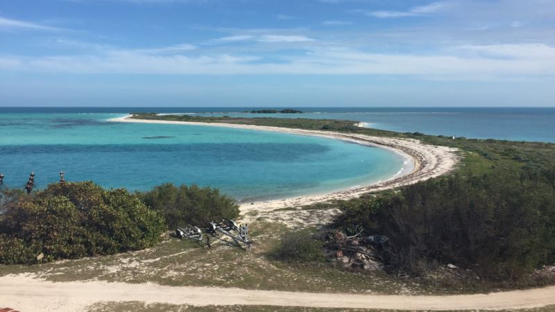 Dry Tortugas National Park Features Sand, Sea, Turtles