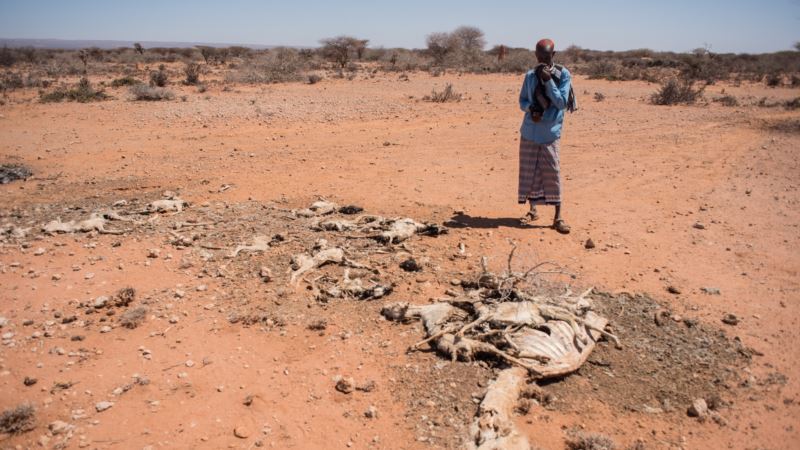 Monitoring Droughts’ Movements Would Aid Vulnerable Areas, Researchers Say