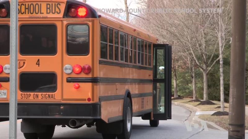 How to Optimize School Bus Networks