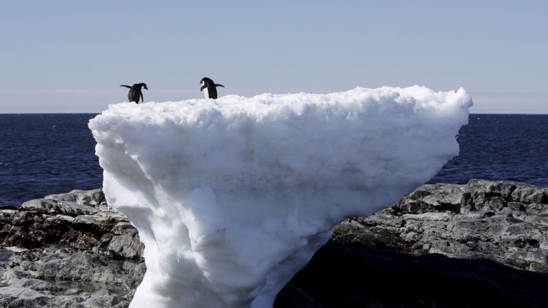 Antarctica Hits Record High Temperature at Balmy 17.5°C (63.5°F)