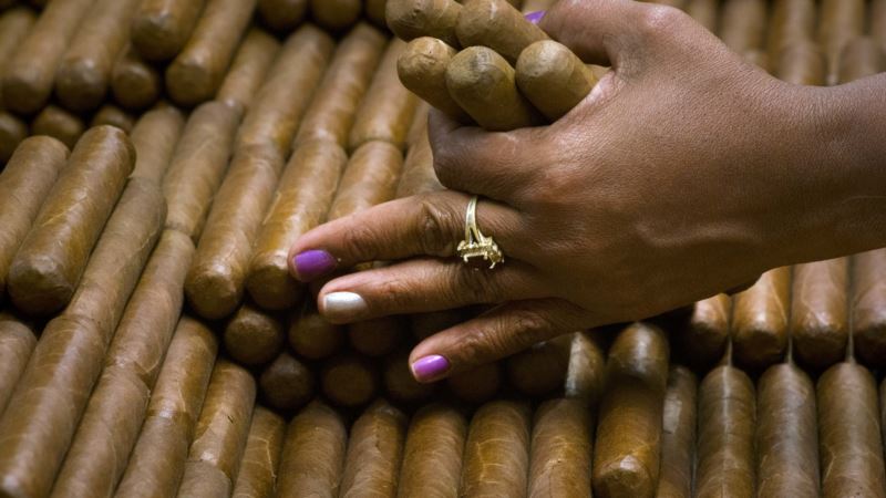 Subpar Crop Leaves Cuba Struggling to Satisfy Cigar Demand