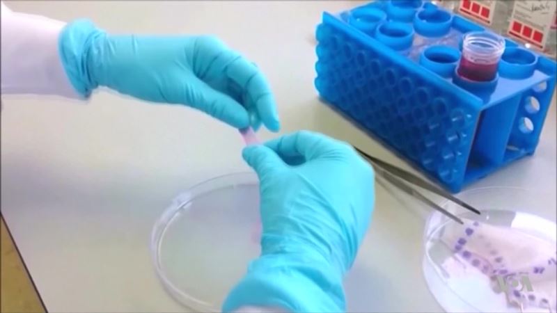 3D Printing Human Skin Opens Up World of Possibilities