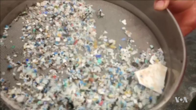 Plastic Contaminants Discovered in Deep Ocean
