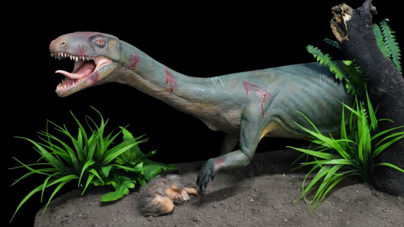 All in the Family: Dinosaur Cousin’s Look Quite a Surprise