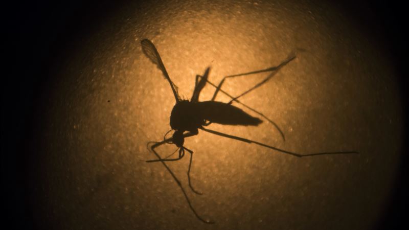 UN: Latin America’s Poor Need More Help to Tackle Zika