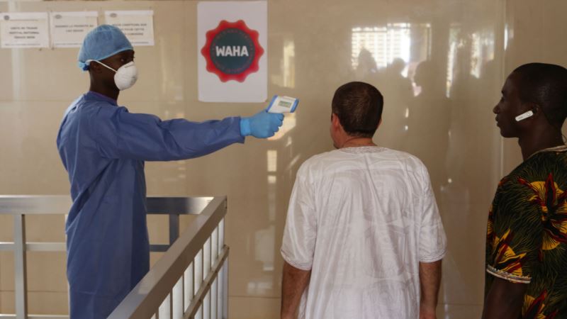 Scientists Discover Human Antibodies to Fight Ebola Virus