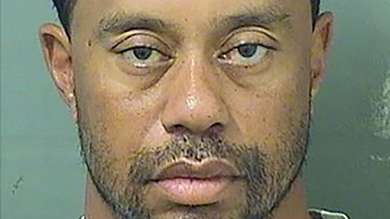Tiger Woods Blames Medications for His Arrest on DUI Charge