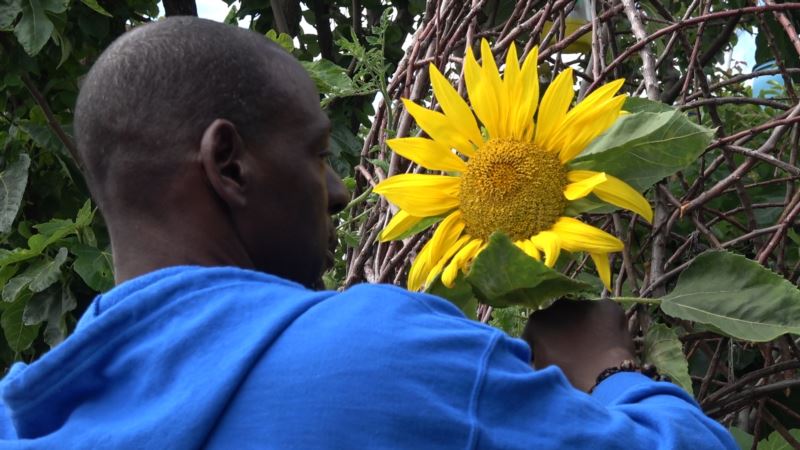 Urban Gardeners Feed Body and Soul in LA