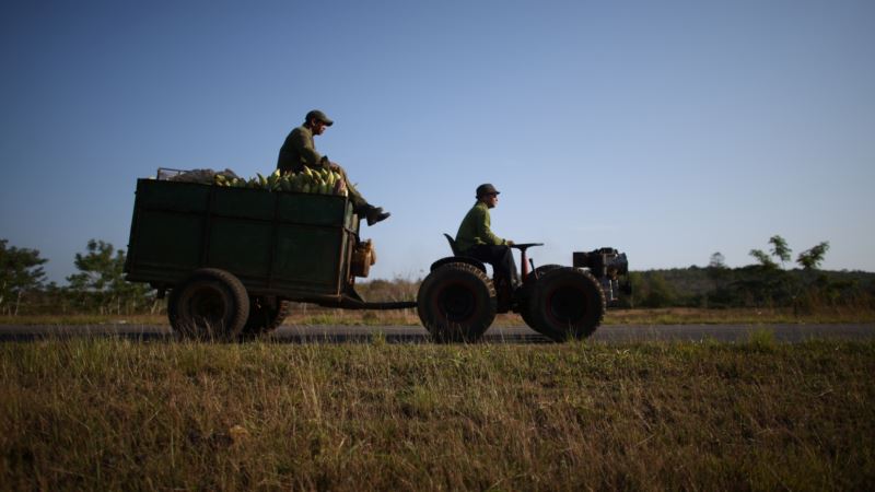 Cuban Farmland Lies Fallow, Production Languishes, Govt. Report Shows