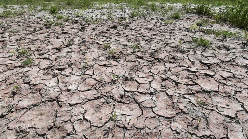 Agriculture Group: Drought Has Cost Italian Farmers 1 Billion Euros