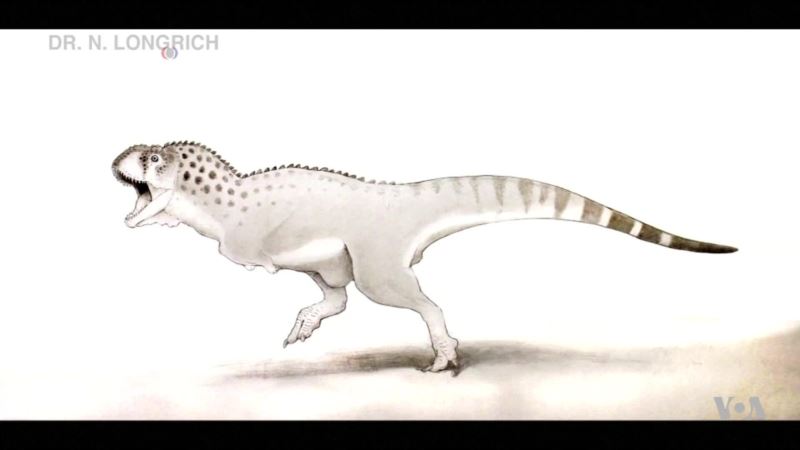 Newly ID’d Fossil Shows Unique African Dinosaurs