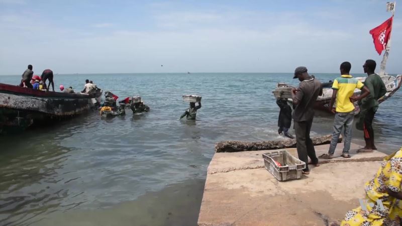 Overfishing Leaves an Industry in Crisis in Senegal