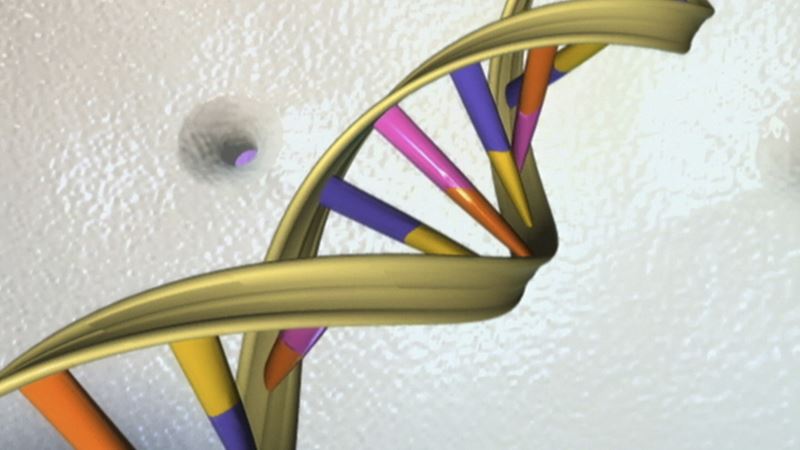 Scientists in US Successfully Edit Human Embryo’s Genes