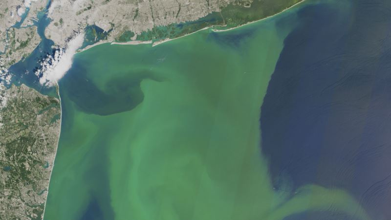 Warming to Worsen Dead Zones, Algae Blooms Choking US Waterways