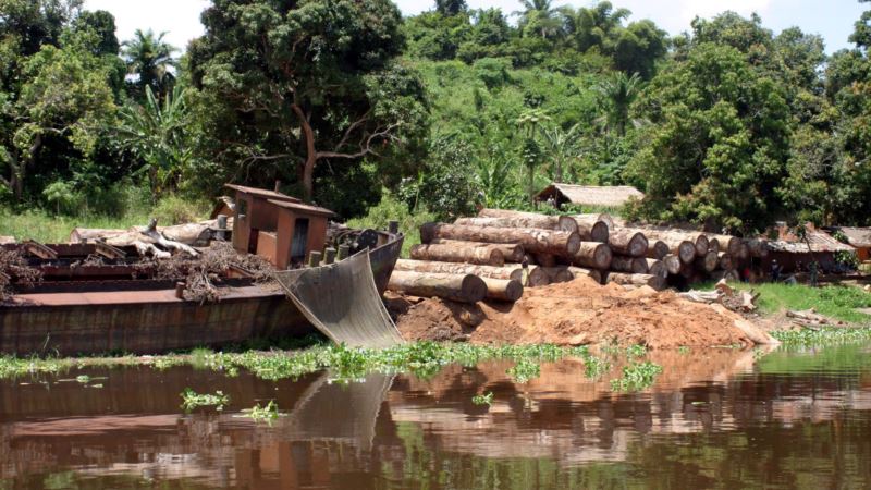 Researchers: Artificial Intelligence Can Help Fight Deforestation in Congo