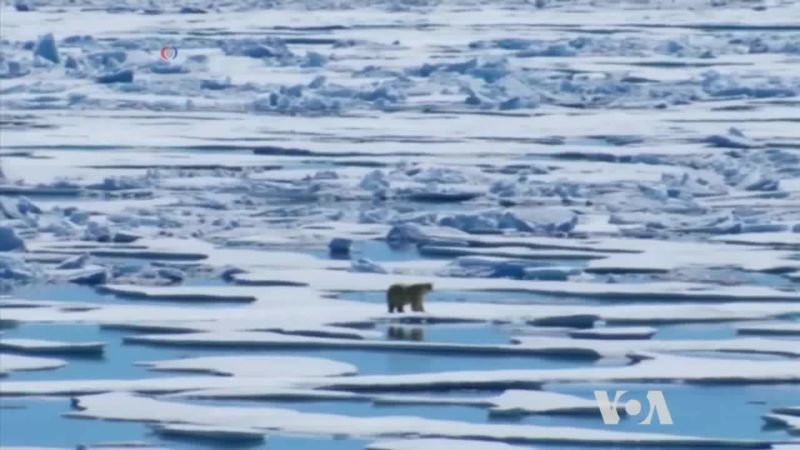 Arctic Losing Its Ice Sheet