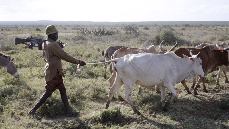 Herder-Farmer Tensions in Rural Kenya Ease, But Problems Remain