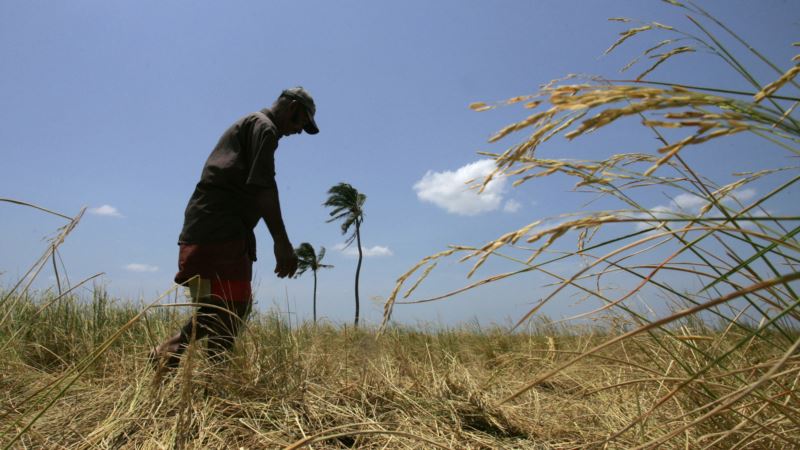 As Rural Sri Lanka Dries Out, Young Farmers Look for Job Options