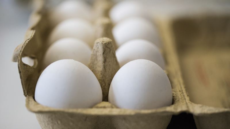 EU Says 40 Countries Now Affected in Tainted Egg Scandal
