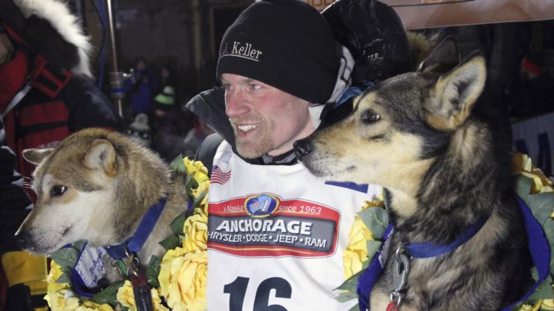 Iditarod Sled Dog Race Engulfed in Dog-doping Scandal