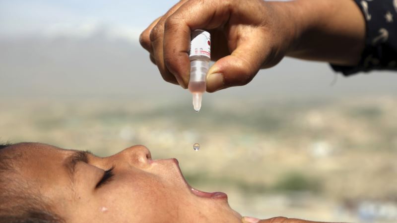 Almost To The End of Polio
