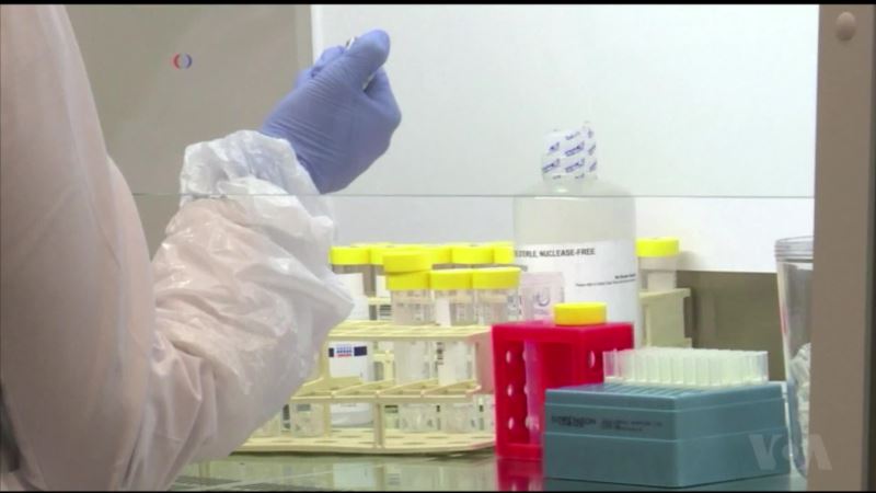 DNA Lab in Netherlands to Help Find Missing People Worldwide