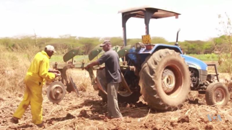 Small Scale Farmers in Kenya Turn to Mechanized Agriculture