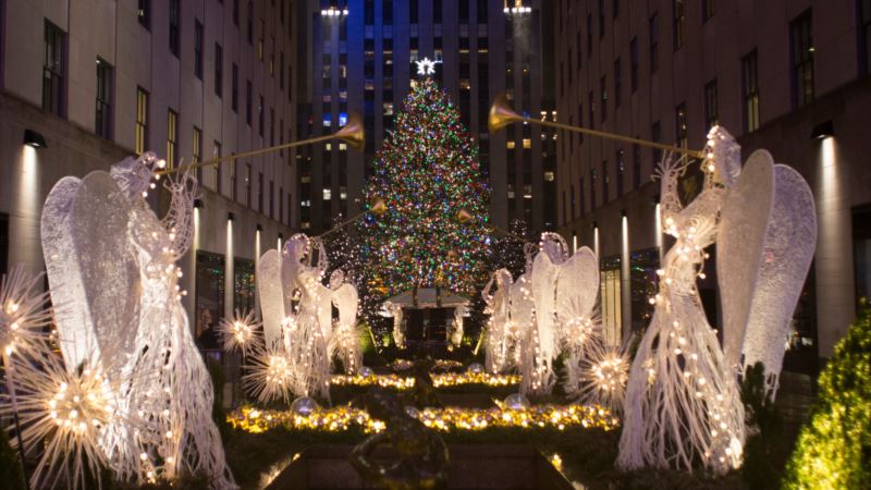 Pennsylvania Tree to Adorn Rockefeller Center for Christmas